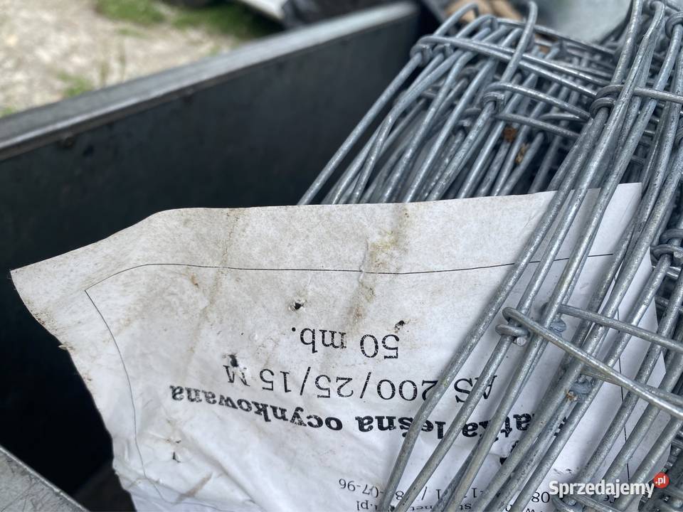 siatka leśna zagęszczana 2002515 Mińsk Mazowiecki