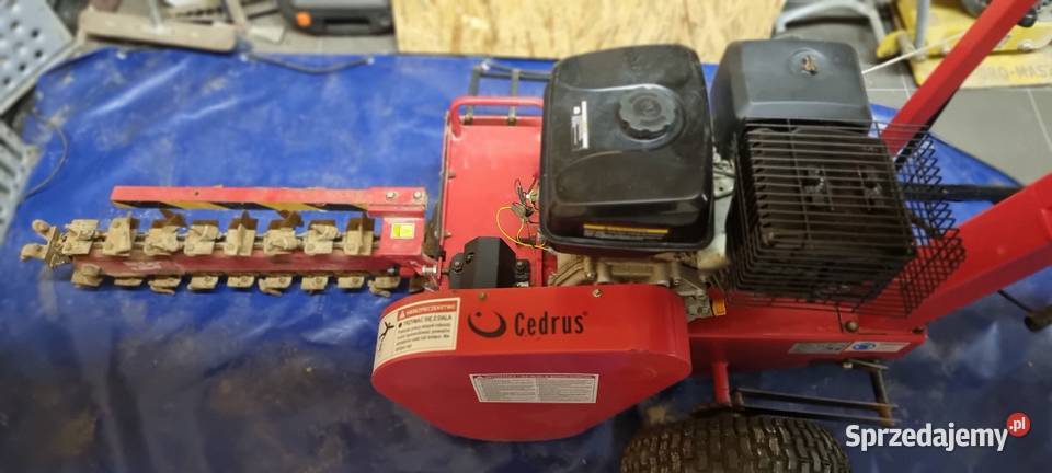 Sprzedam koparkę łańcuchowa cedrus 60 głębokość Pozostałe Gryfice