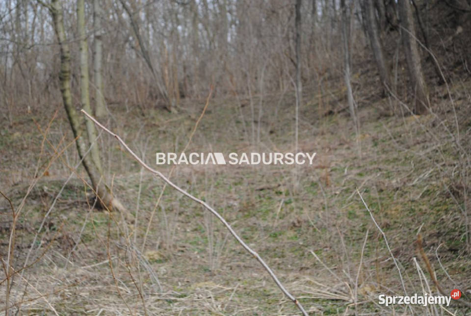 sprzedaży gruntu Malkowice 4800m2