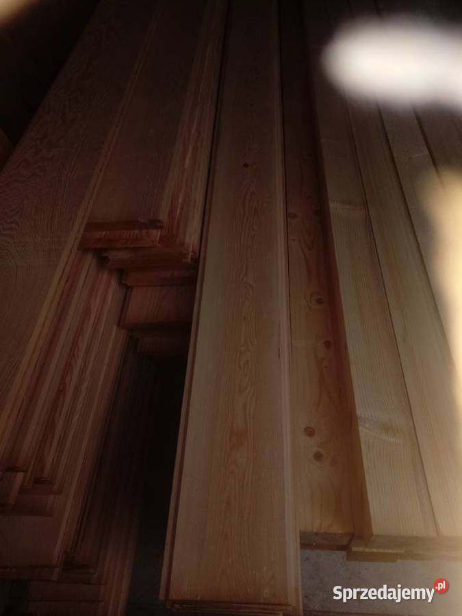 Boazeria bodbitka Częstochowa