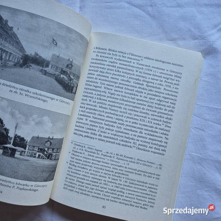 Hitlerjugend na Dolnym Śląsku nowaCD Książki naukowe i popularnonaukowe Brzesko