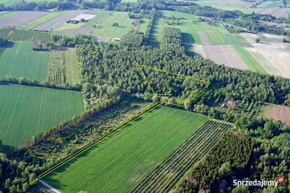 Działka 246 ha k Mszczonowa z warunkami na bud 22zł/m2 Karnice sprzedam