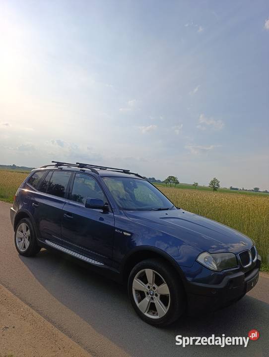 BMW X3 20d 150 4x4 Anglik Alu 18 Manual 2000cm3 Brdów sprzedam