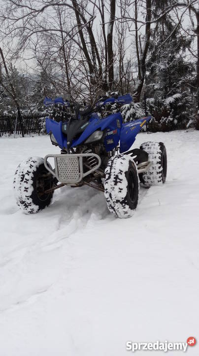 Yamaha Raptor 250 nieuszkodzony Konina