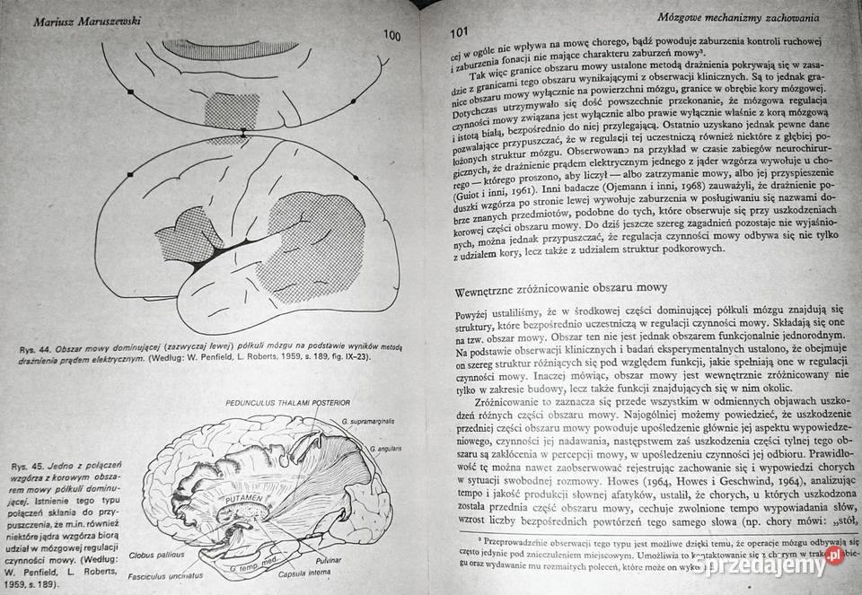 Psychologia Tadeusz Tomaszewski sprzedam
