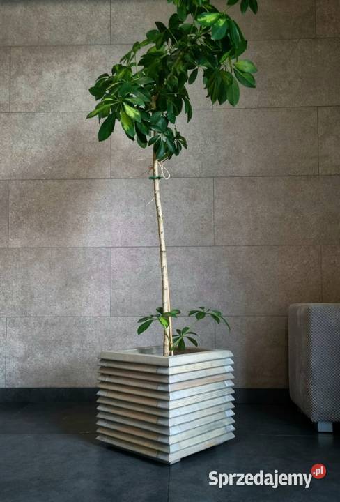 Donica drewniana 3D nowoczesna industrialna Kalety