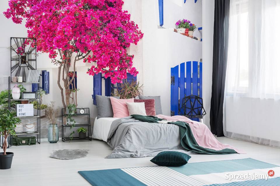 Tapeta fototapeta Santorini uliczka Grecja Ściany i elewacje Leszno sprzedam