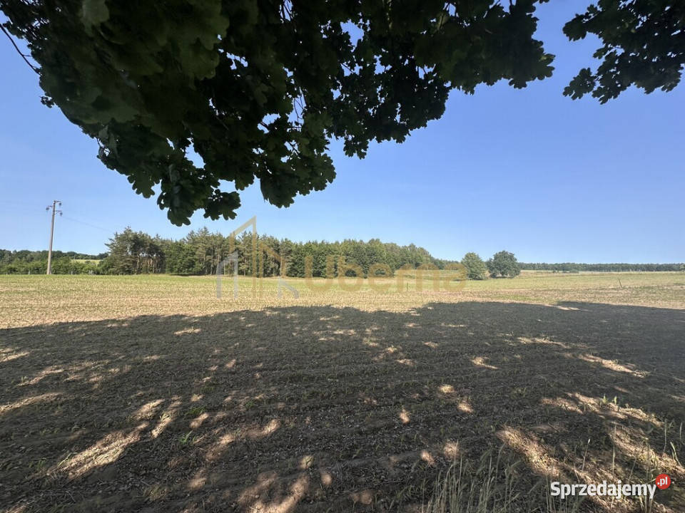Działka z WZabudowy w Radzanku GmMaszewo Radzanek