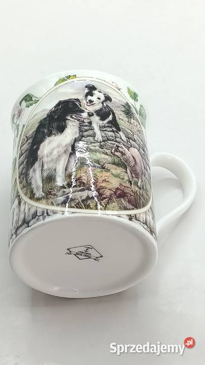 Kubek England pies owczarek collie Zamość