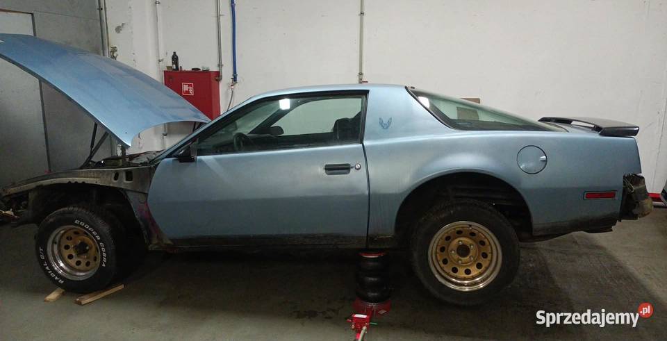 1982 Pontiac Firebird Trans AM 3 gen projekt Więcbork