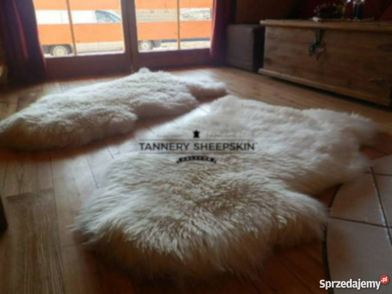 Skóra Owcza GIGANT Skóra Biała Skóra Muflon małopolskie Szaflary sprzedam