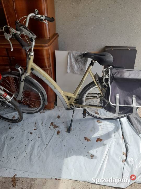 Batavus wielkopolskie Gostyń