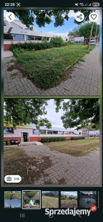 Koszenie trawy karczowanie zarośli wycinka drzew Karczowanie i usuwanie drzew Sulęcin