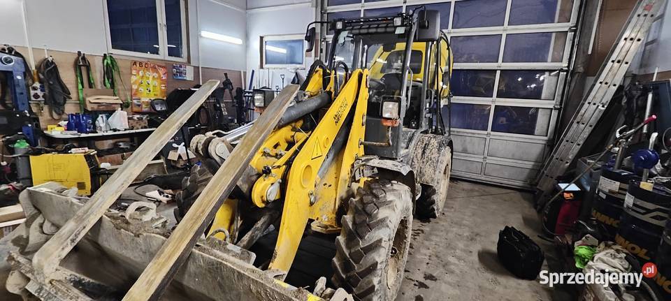 WACKER NEUSON DW ET EW TH Adblue DPF EGR Motoryzacja Brzesko