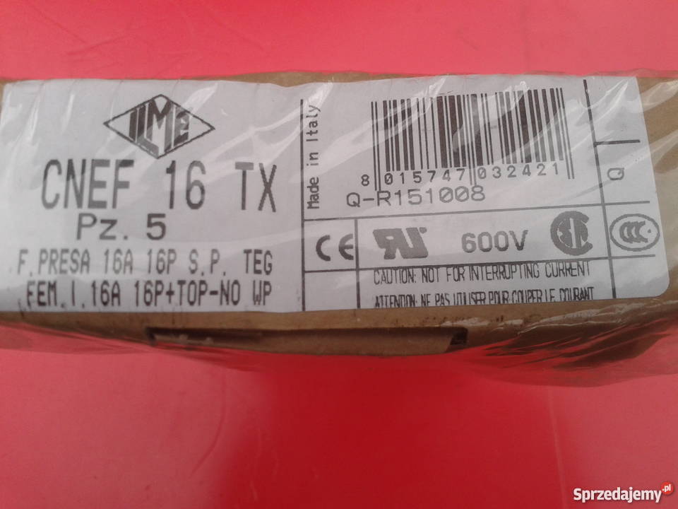 CNEF 16 TXILME gniazdo Gołębiewo sprzedam