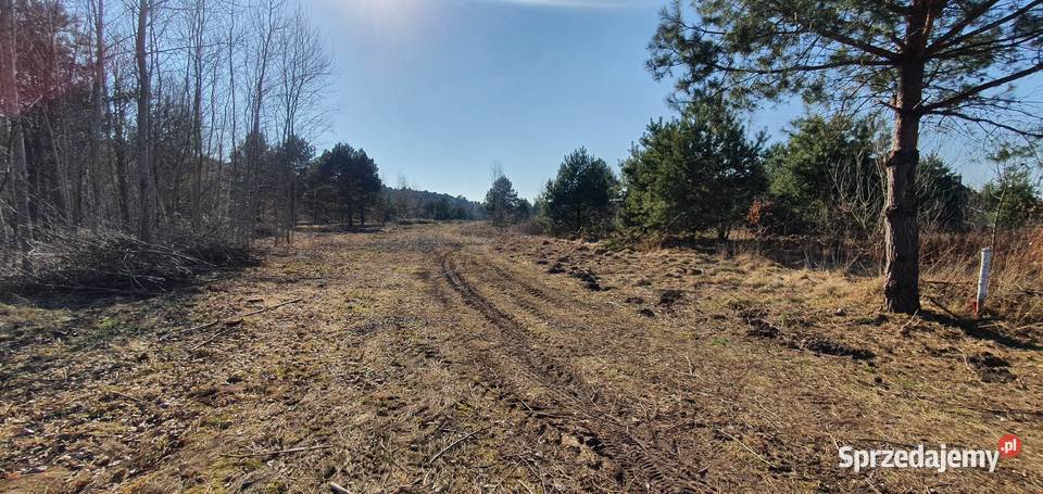 Działki budowlane Mniszek Radom mazowieckie