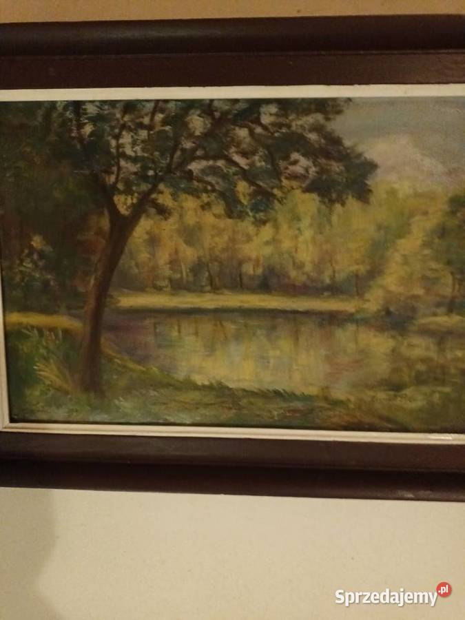 Jezioro wśród drzew sprzedam