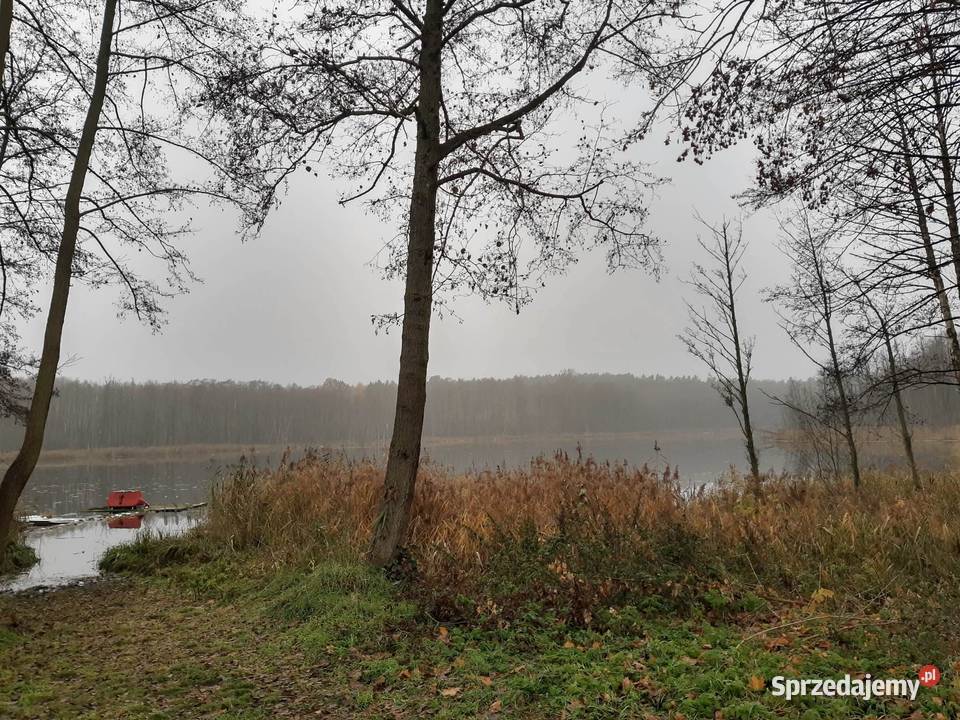 Działka budowlana z linią brzegową lubuskie Gronów sprzedam