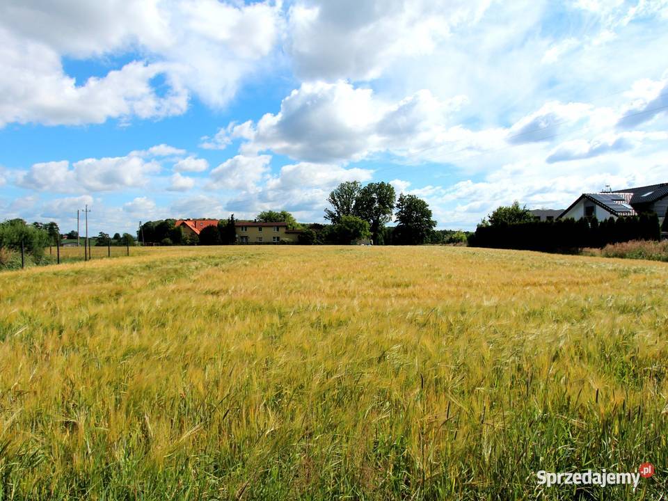 Działka na sprzedaż Mikołów 1082 m śląskie
