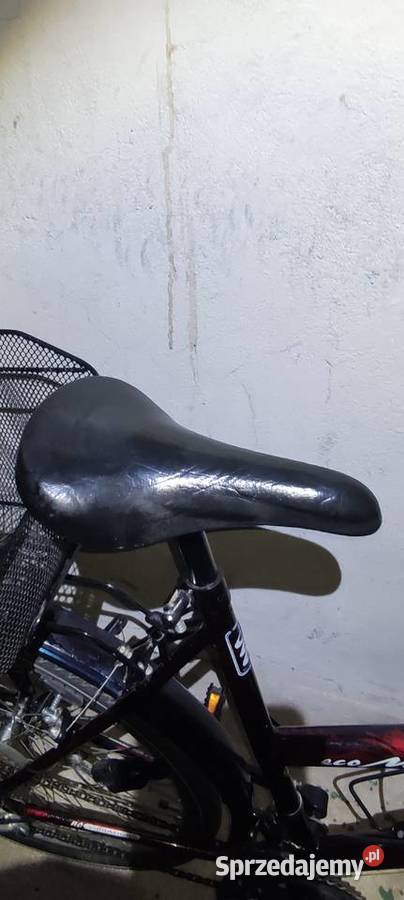 Rower Eco Bike damski koła 26 Pozostałe Grodków