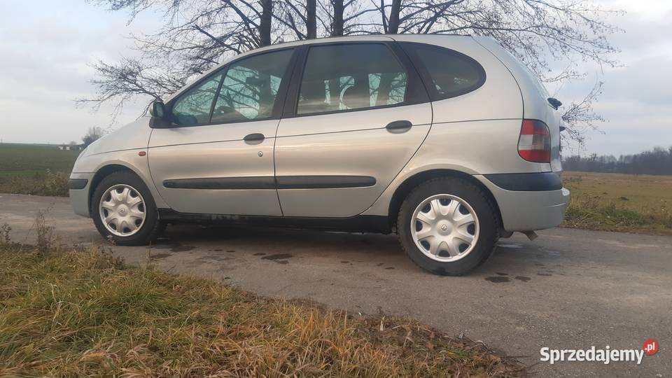 Renault Scenic Turobin