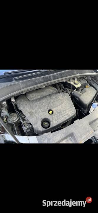 Silnik KOMPLETNY Ford 20tdci DW10C 163 Andrespol