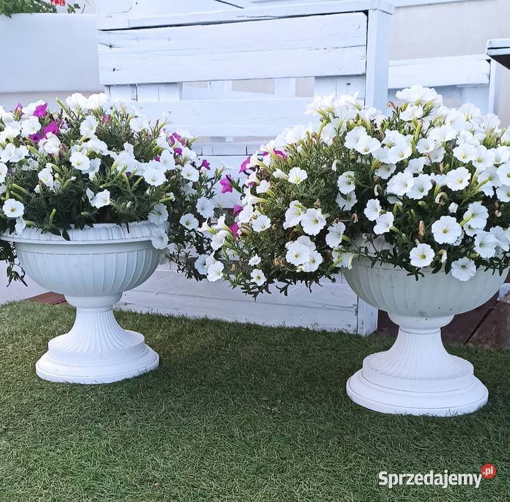Dekoracje donice na taras balkon Płońsk