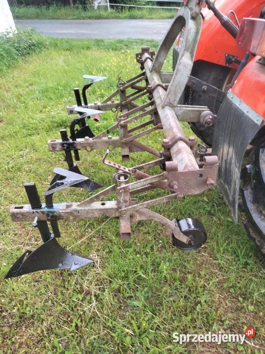 Obsypnik małopolskie