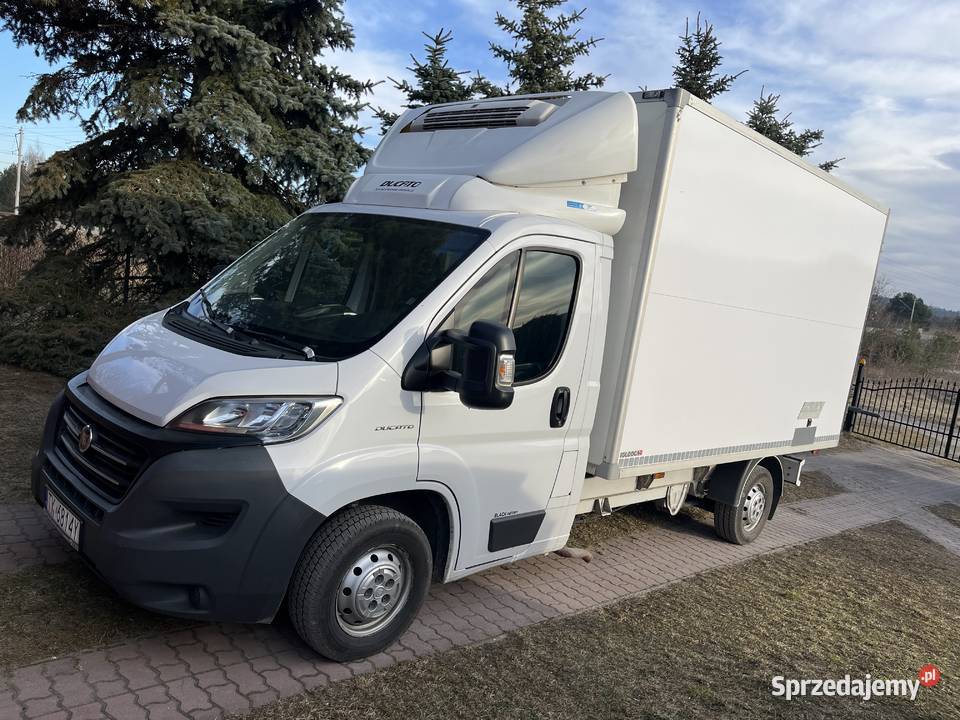 Fiat ducato chłodniaizoterma 23150 Rok produkcji 2015 świętokrzyskie Kielce