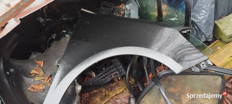 Renault Clio Drzwi Biskupice