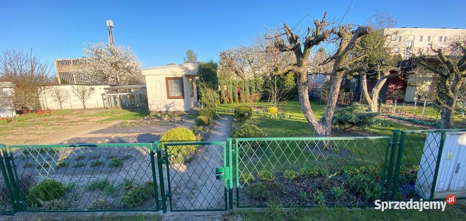 Sprzedam działkę 260 m kw ROD BRATEK Luboń