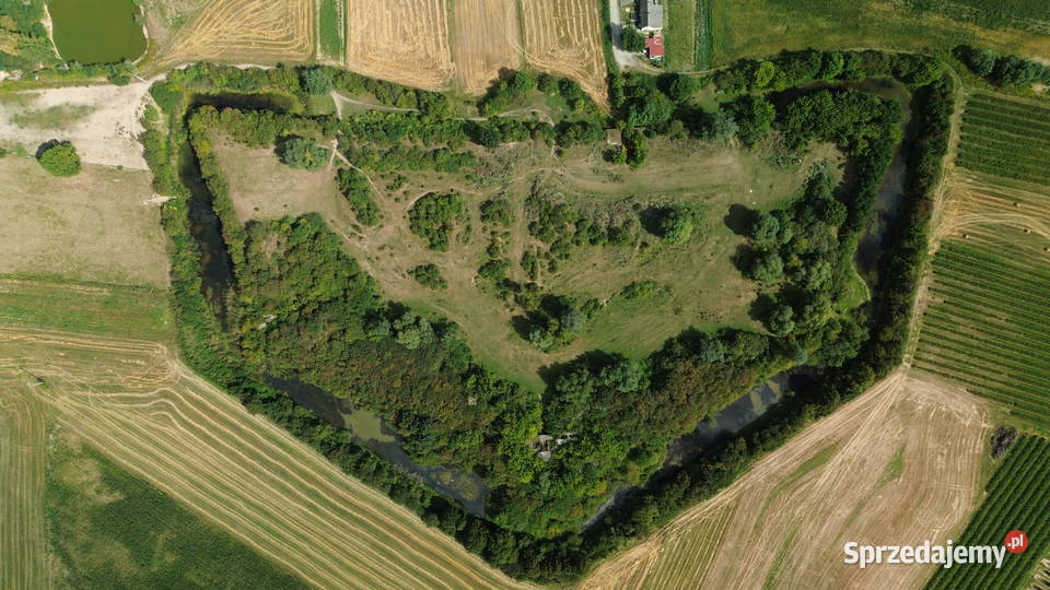 Mazowieckie 65 ha terenu inwestycyjnego mazowieckie Gniewoszów sprzedam