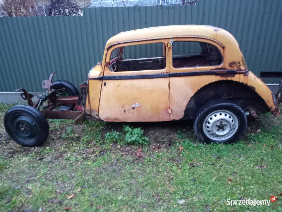 Adler junior Kraków