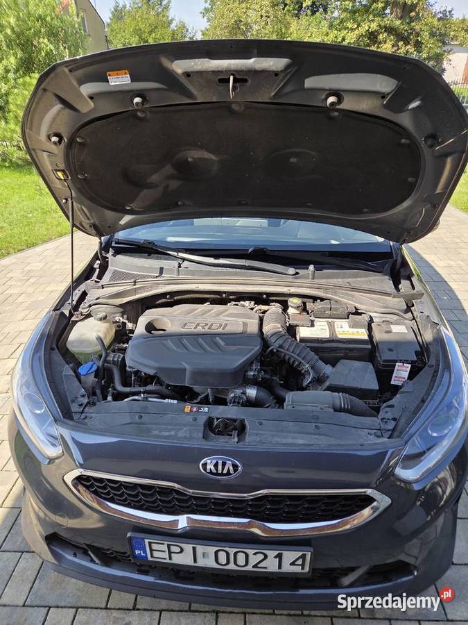 KIA CEED 2019 HATCHBACK 16 CRDI diesel łódzkie Moszczenica