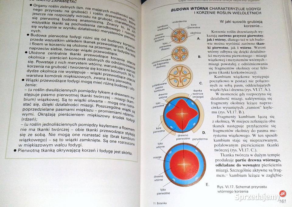 Botanika i biologia komórki Andrzej Batko W Pozostałe Chełm