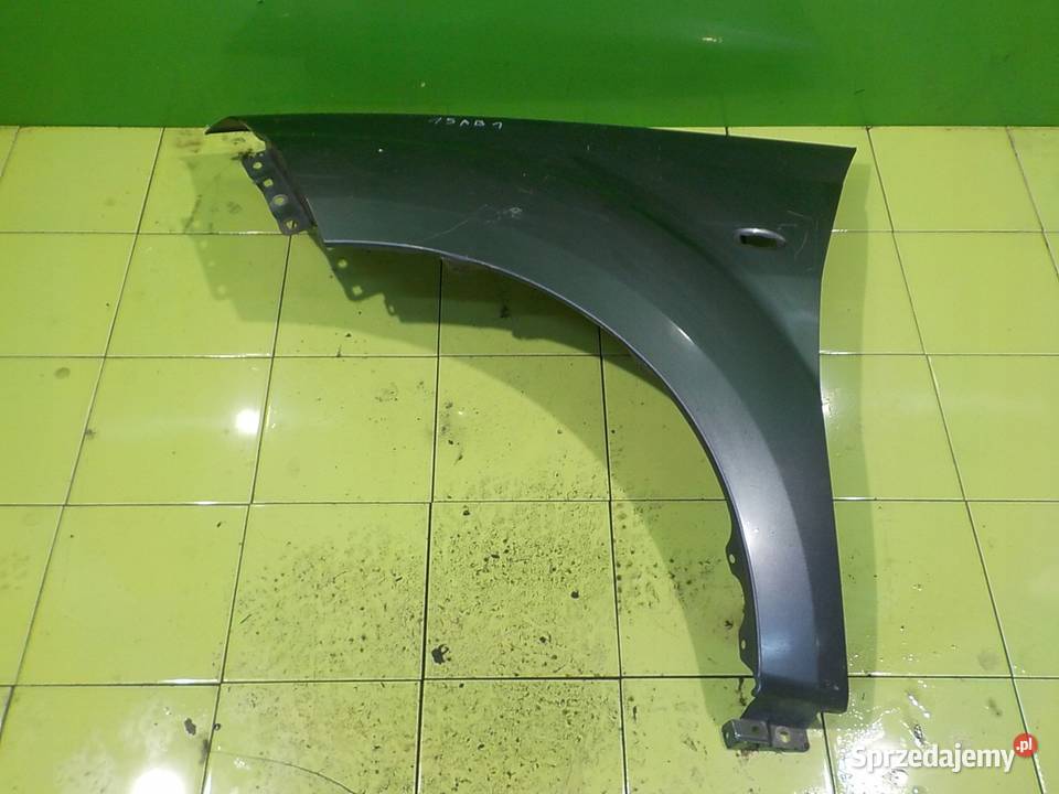 PEUGEOT 4007 22 HDI 11r 5D blotnik lewy przod mazowieckie Suków