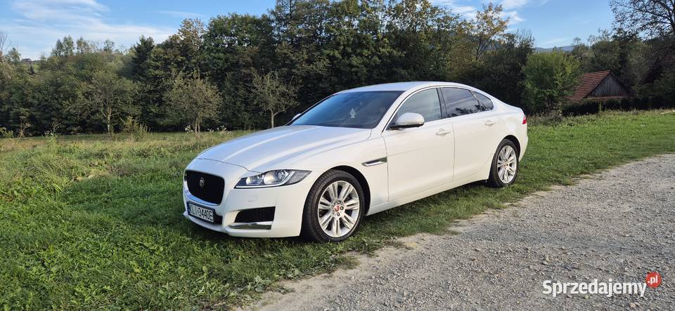 Jaguar XF 2016 20d Portfolio automatyczna