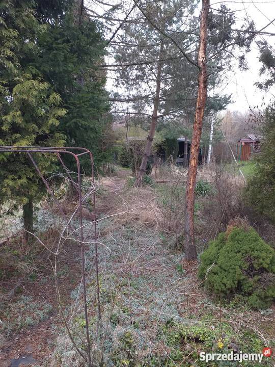 Ogród działkowy 380 m2 Bytom Odrzańska ROD woda