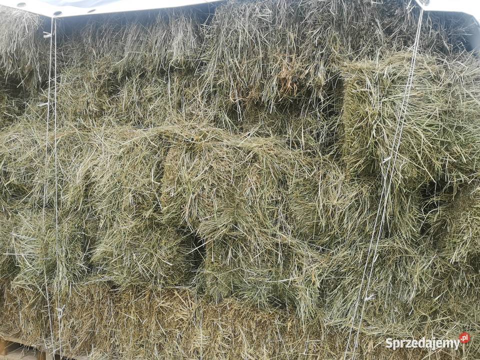 Siano w kostkach 2025 Trawy, słoma Skomielna Biała