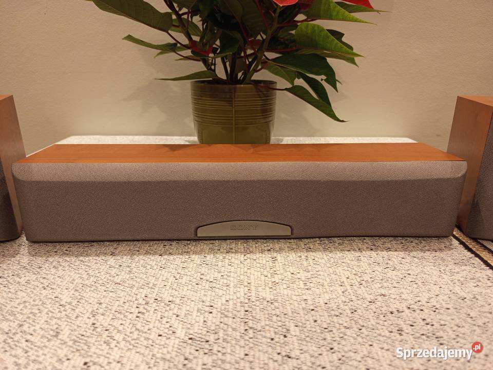 Głośniki Sony sssr250 i sscn900 do kina domowego