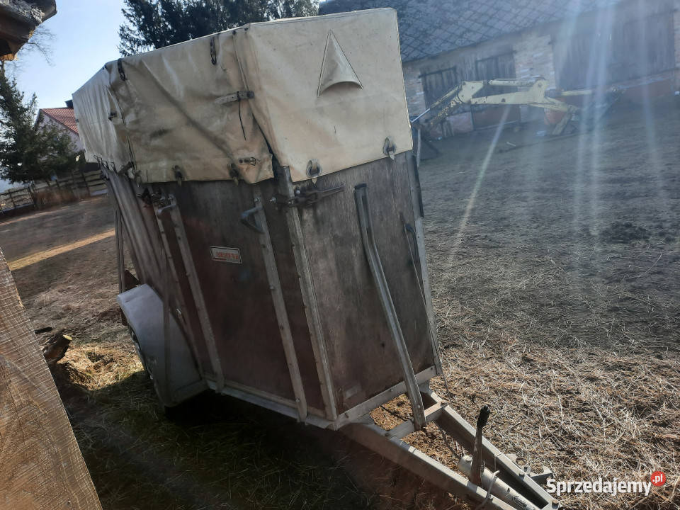 Przyczepa do przewozu koni WESTERIA VT 135 DMC Do samochodów osobowych Dzbądzek