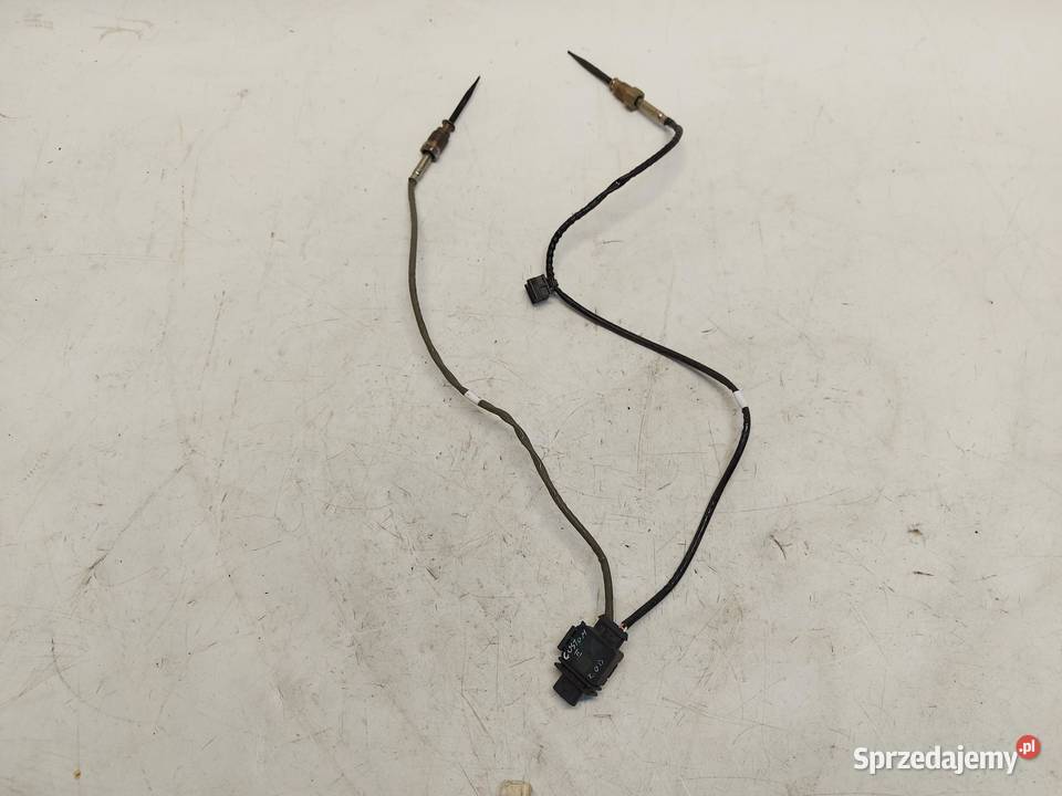 Ford Transit Custom II 2024 sonda czujnik spalin osobowe