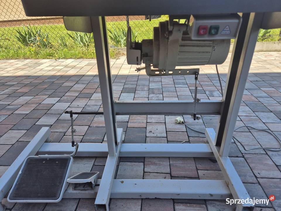 Rymarka praworamienna sprzedam