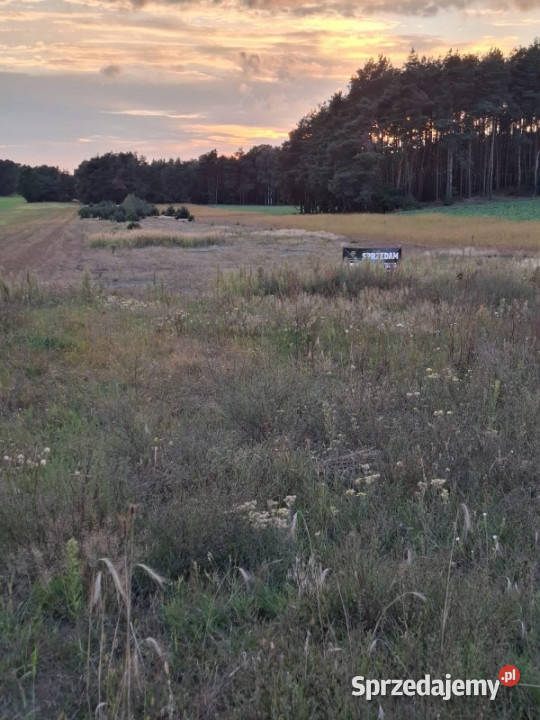 DZIAŁKA INWESTYCYJNA 222 HA KĘPINA Kępina sprzedam