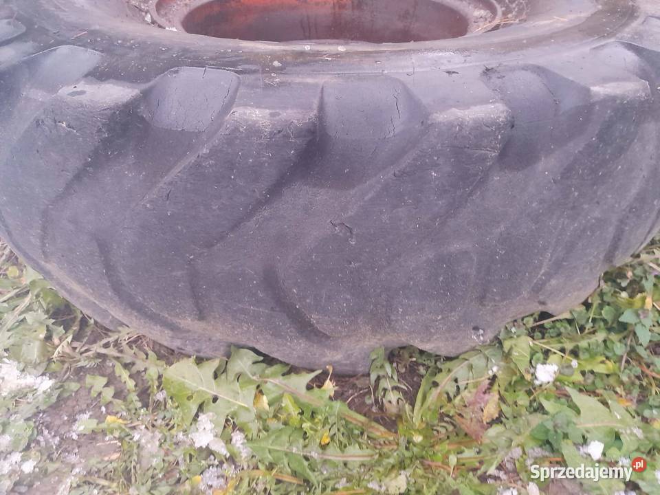 Koła 140024 16 PR SEMPERT 140020 DUNLOP E MII Pagorzyna