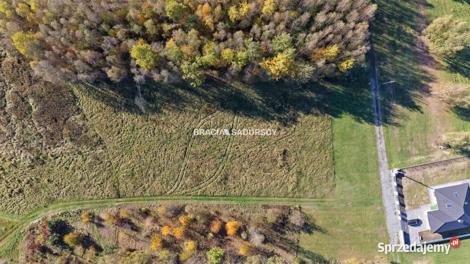 sprzedaży gruntu 4400m2 Buczków małopolskie