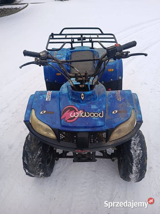 Quad 110125 mazowieckie Ponikiew Duża sprzedam