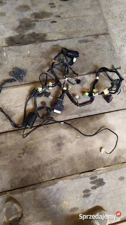 Wiązka instalacja elektryczna honda cbr 125 Części motocyklowe Radecznica