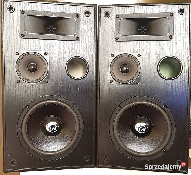 kolumny głośnikowe Cat Berlin 2000L 2723000Hz pomorskie Gdynia sprzedam