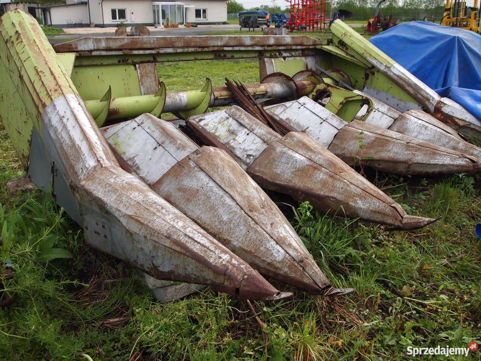 Heder do kukurydzy 5 rzędowy CLASS Pozostałe Maszyny rolnicze Zielona